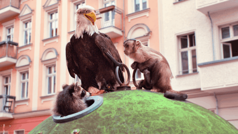 Szenenbild von Akiko Aron und Moki auf Glascontainer