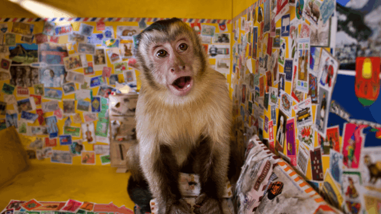 Akiko im Briefkasten