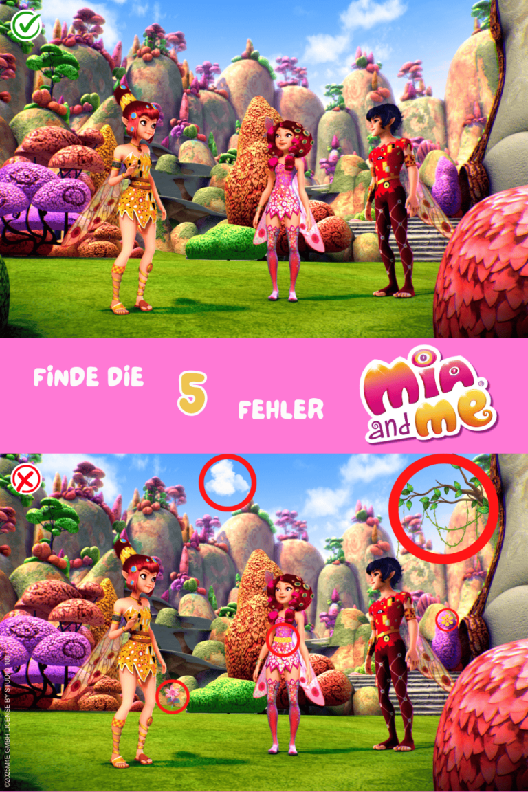 Fehlersuche Auflösung Mia and me